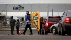 Federal government earmarking $77M to keep food-processing industry safe